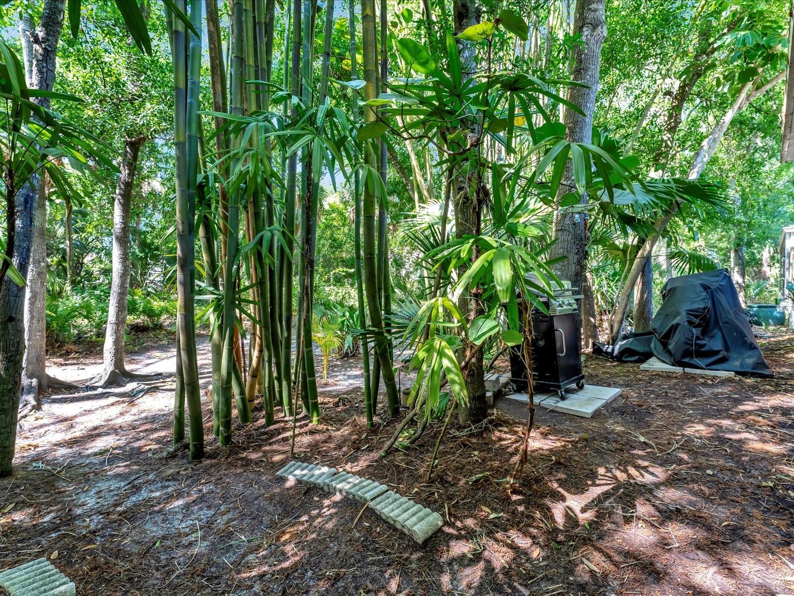 642 N JEFFERSON AVE #13, SARASOTA, FL, 34237