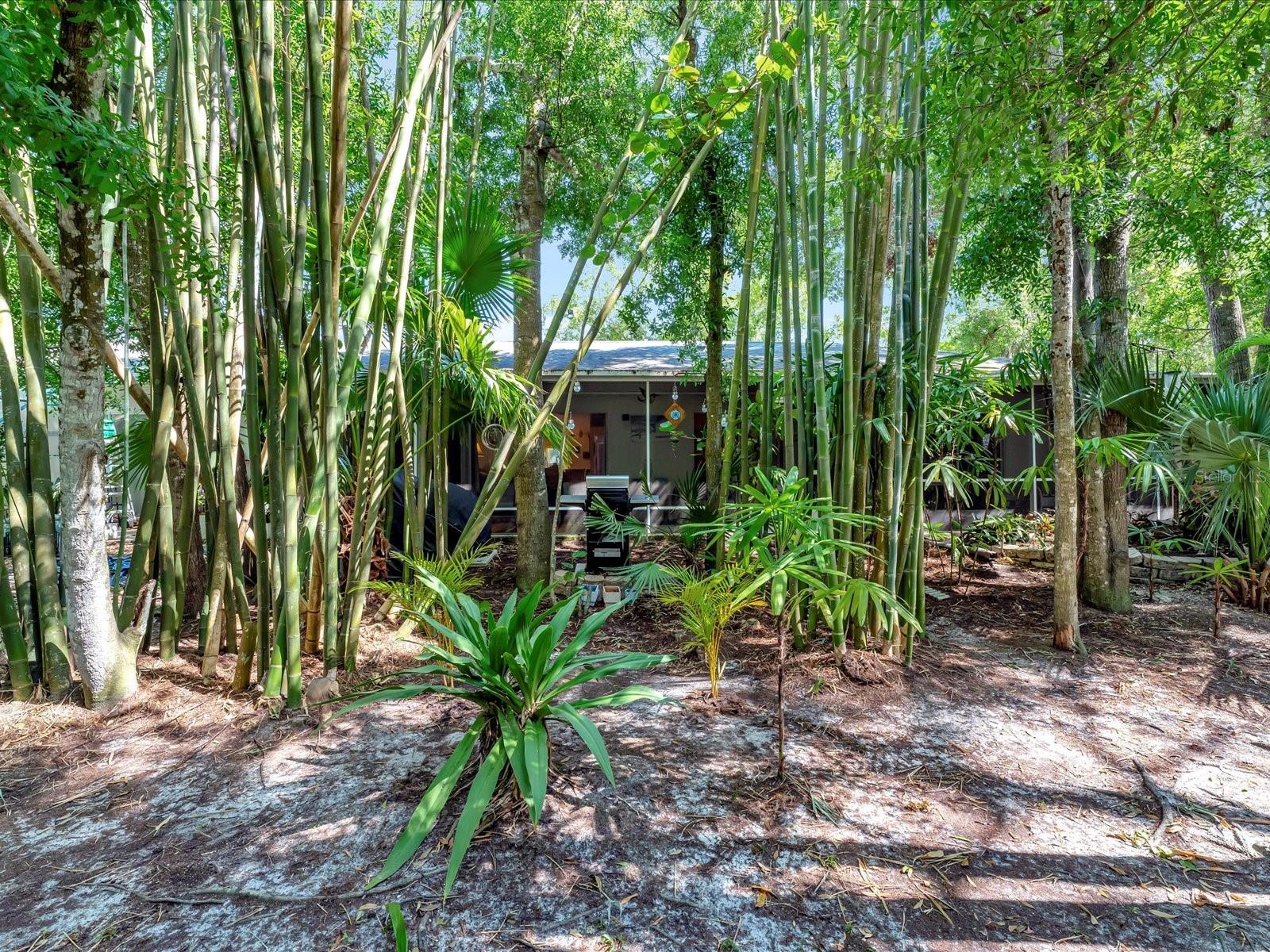 642 N JEFFERSON AVE #13, SARASOTA, FL, 34237