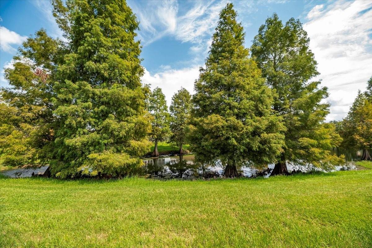 4104 MARTINDALE LOOP, WINTER HAVEN, FL, 33884