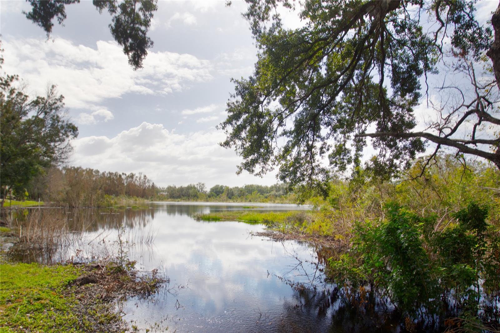 2201 FLETCHERS POINT CIR, TAMPA, FL, 33613
