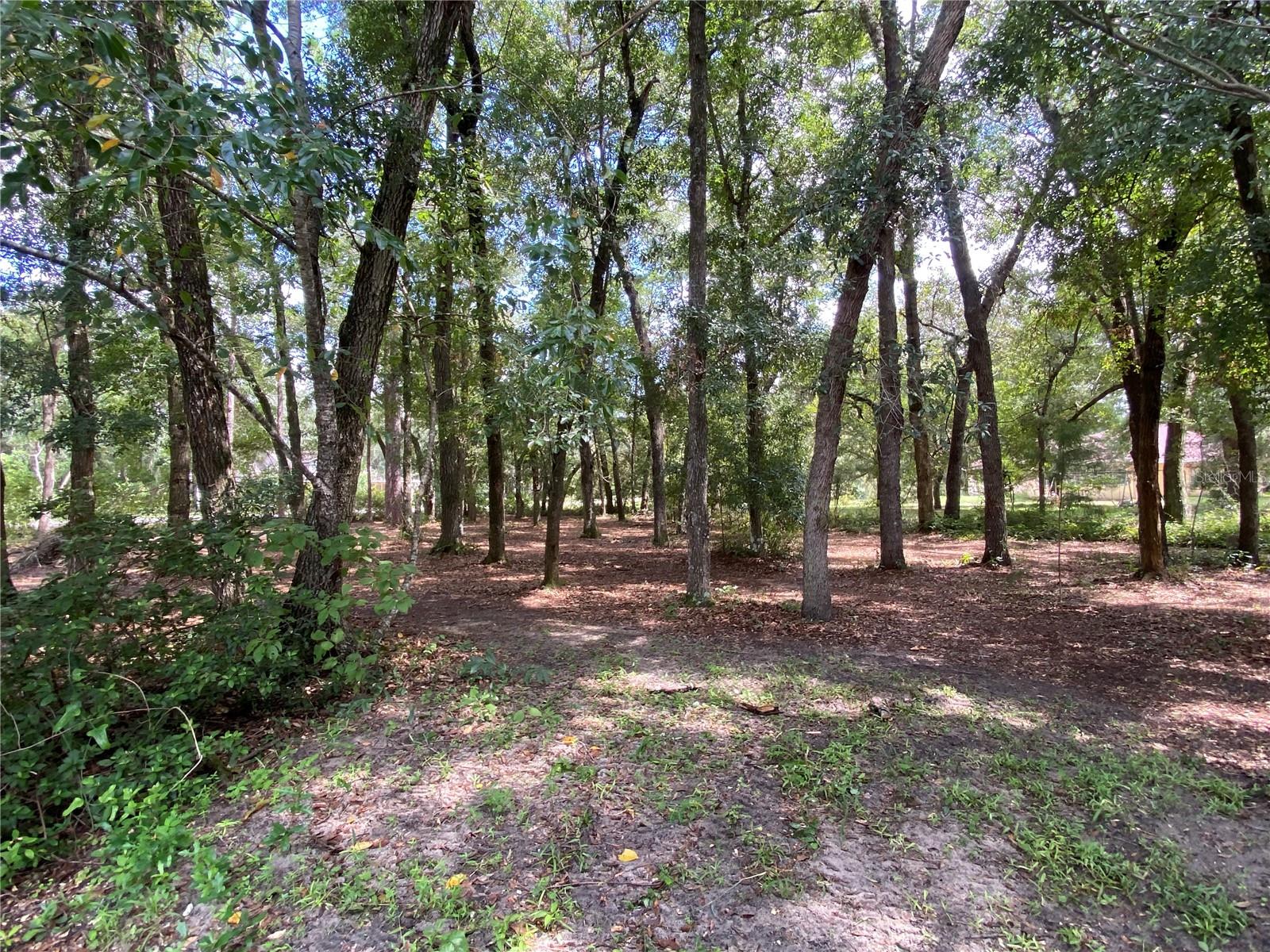 11105 SE 223RD TER, HAWTHORNE, FL, 32640