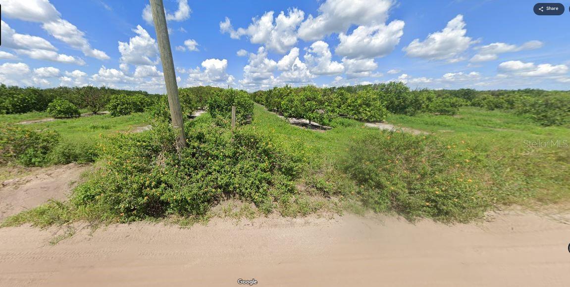 HOLOPAW GROVES RD, ST CLOUD, FL, 34773