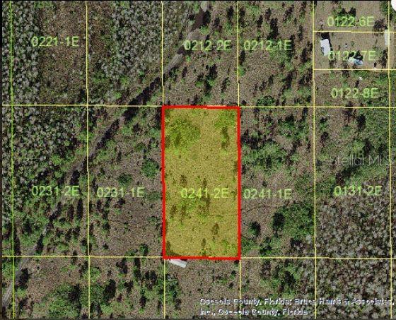 HOLOPAW GROVES RD, ST CLOUD, FL, 34773