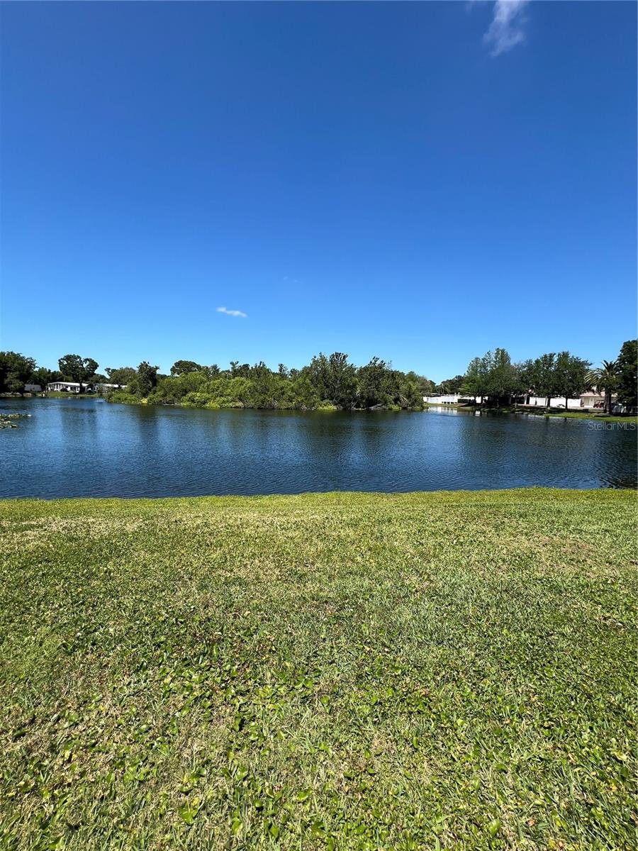 1001 STARKEY RD #355, LARGO, FL, 33771