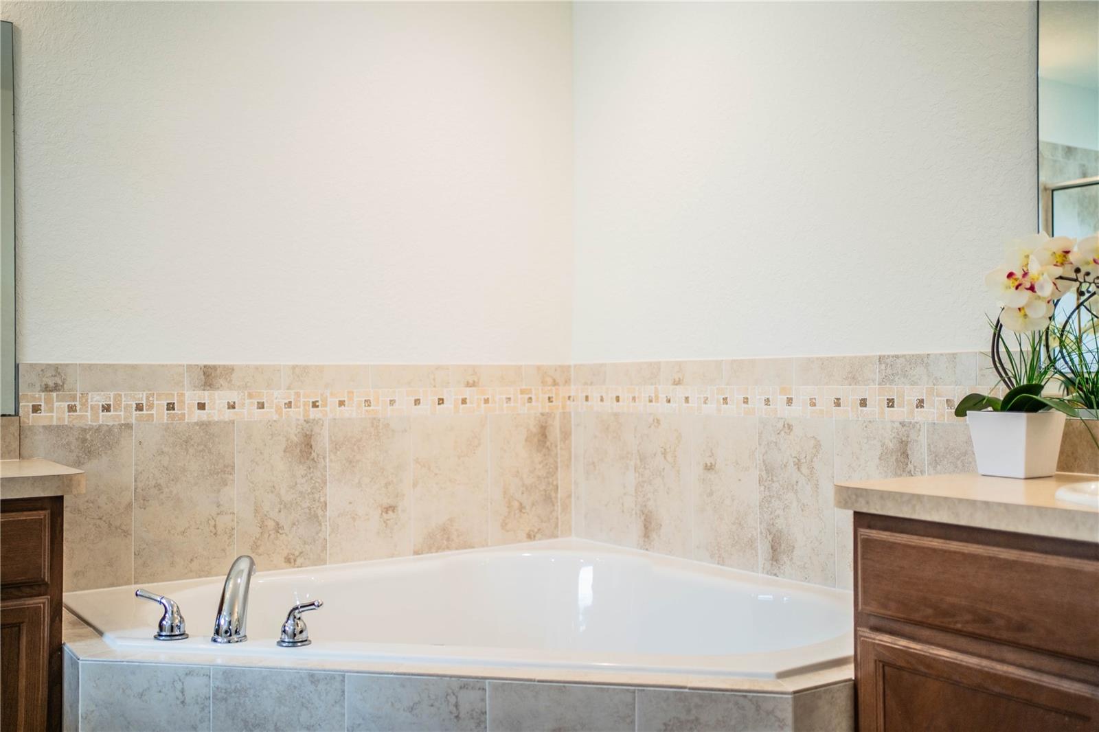 8203 CAMPBELL CROSSING CIR, LAKELAND, FL, 33810