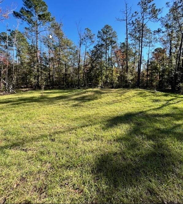 10120 VAUGHAN AVE, HASTINGS, FL, 32145