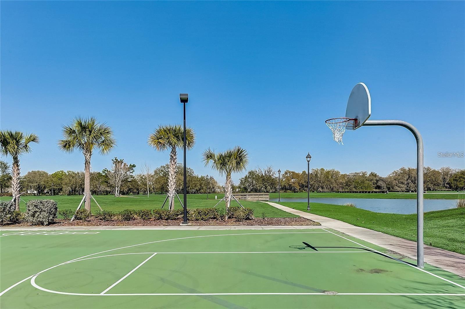 12734 RAINWASHED LOOP, PARRISH, FL, 34219