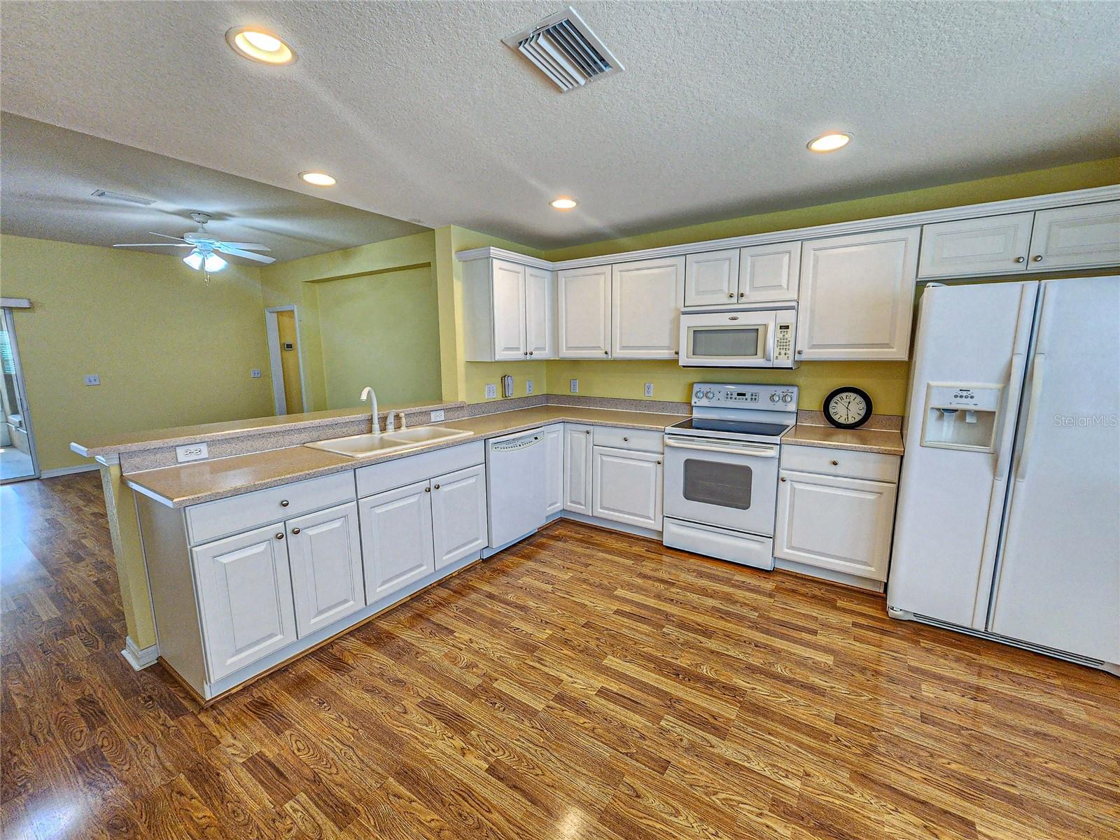 8602 SE 133RD LN, SUMMERFIELD, FL, 34491