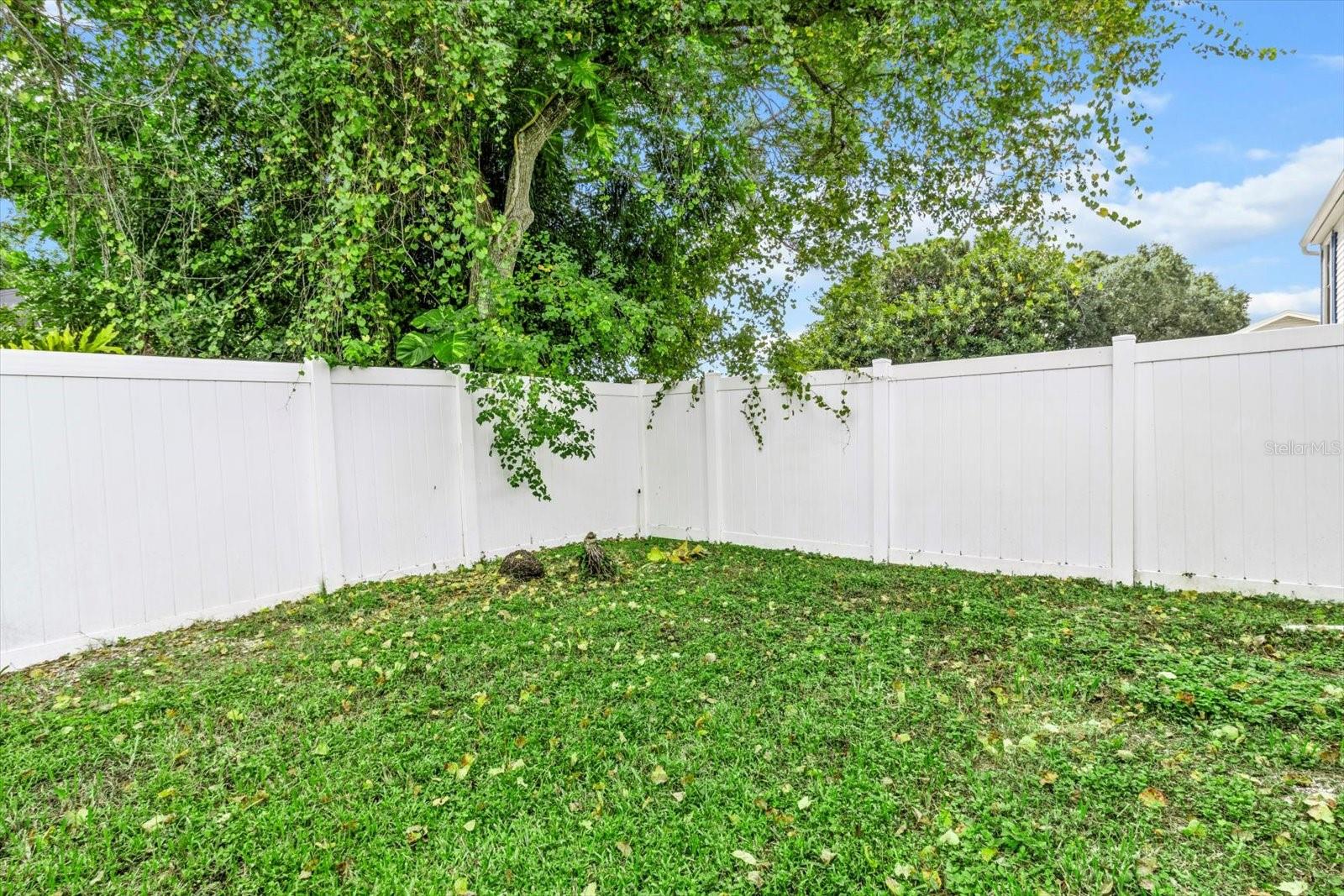 16201 COUNTRY CROSSING DR, TAMPA, FL, 33624
