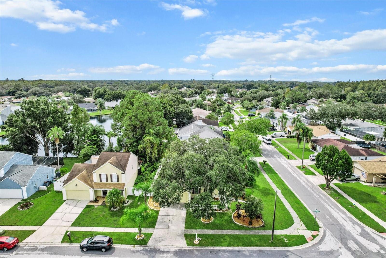 16201 COUNTRY CROSSING DR, TAMPA, FL, 33624