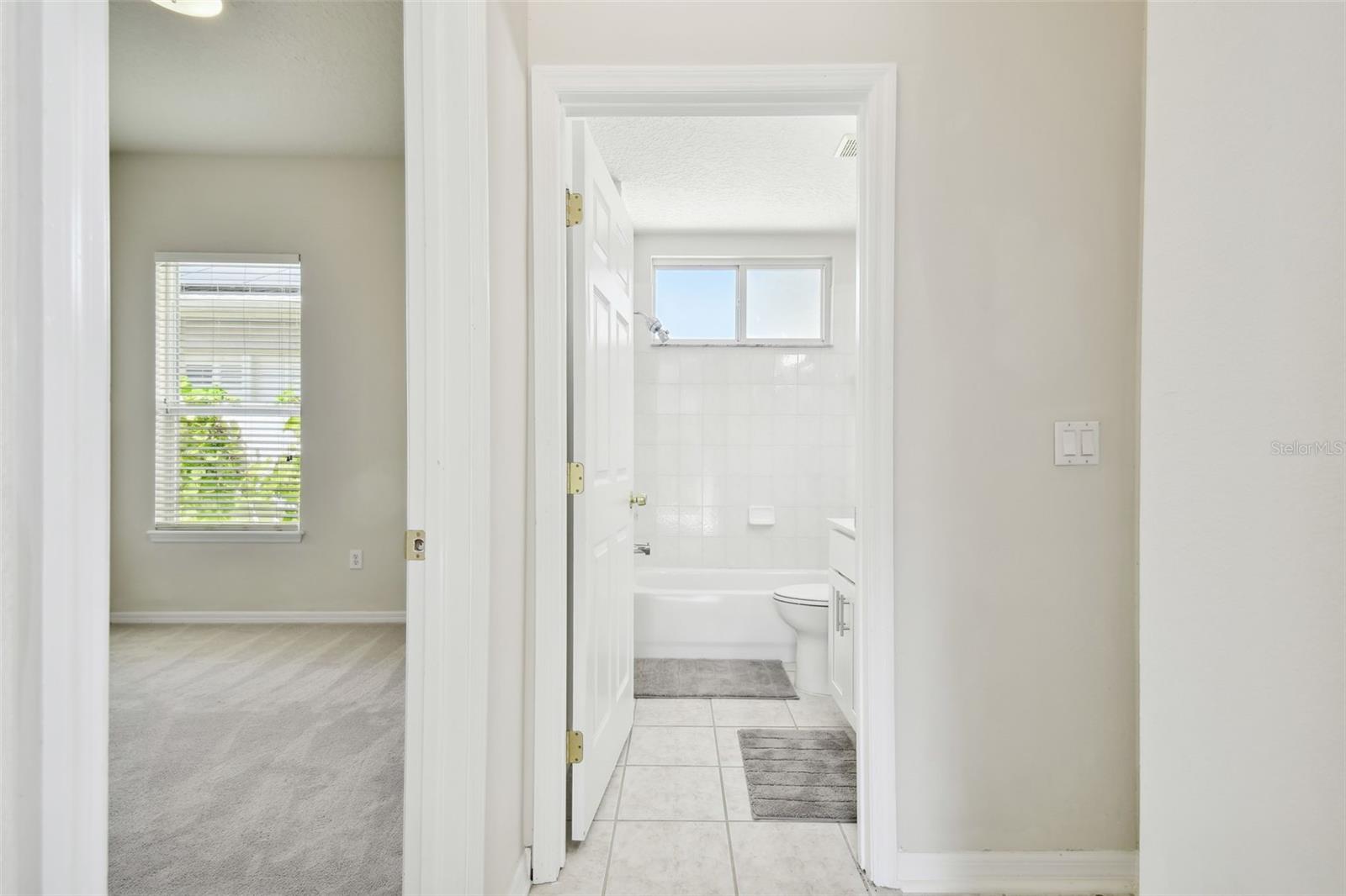 10244 SHADOW BRANCH DR, TAMPA, FL, 33647