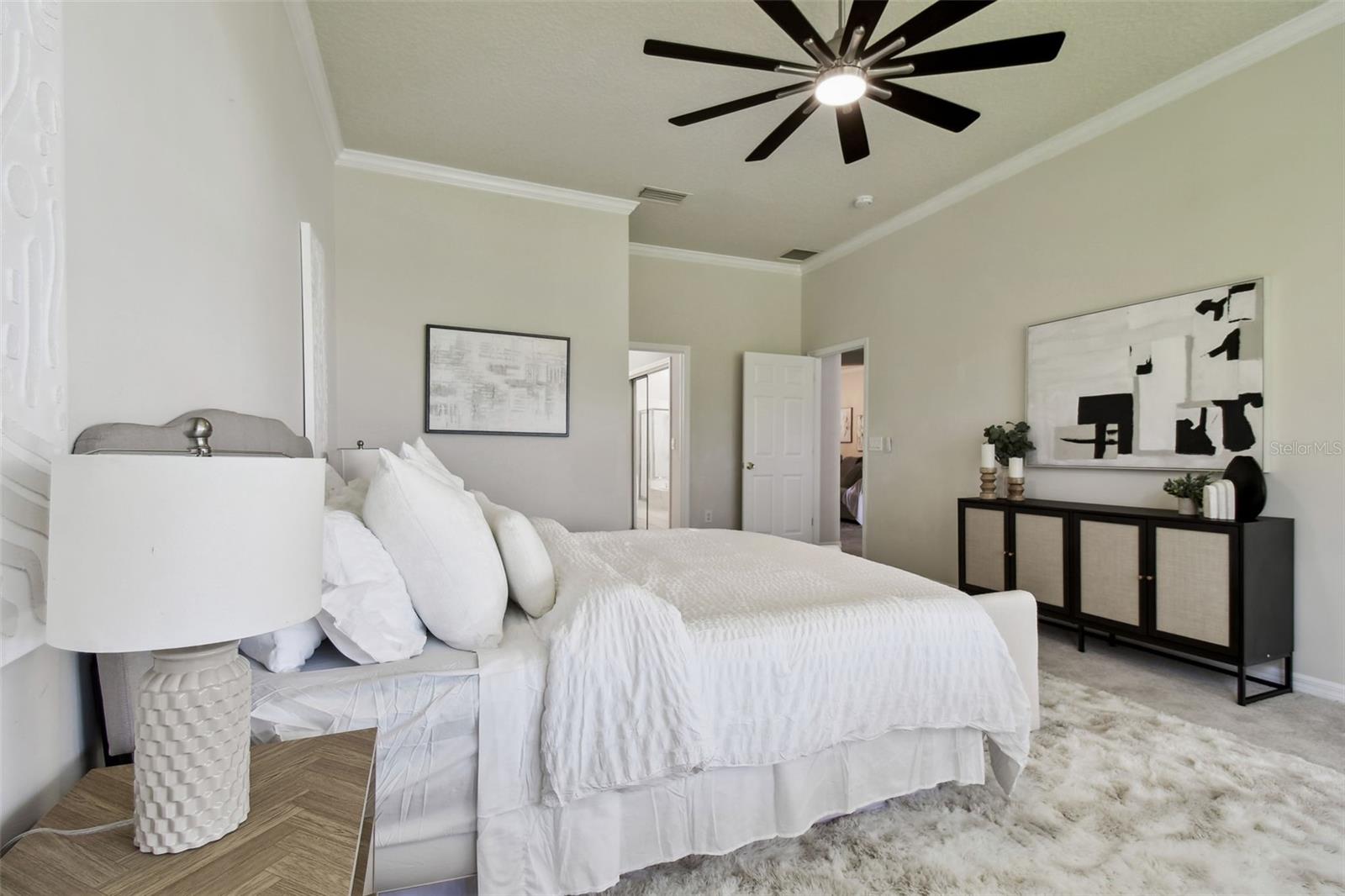 10244 SHADOW BRANCH DR, TAMPA, FL, 33647