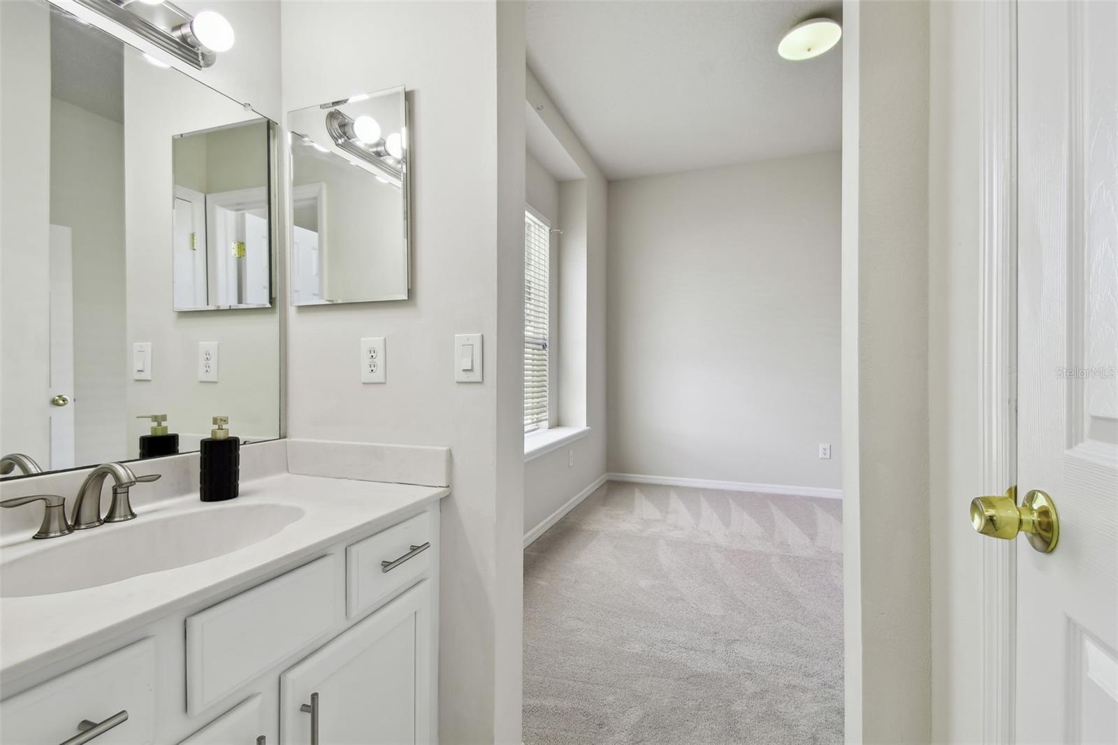 10244 SHADOW BRANCH DR, TAMPA, FL, 33647