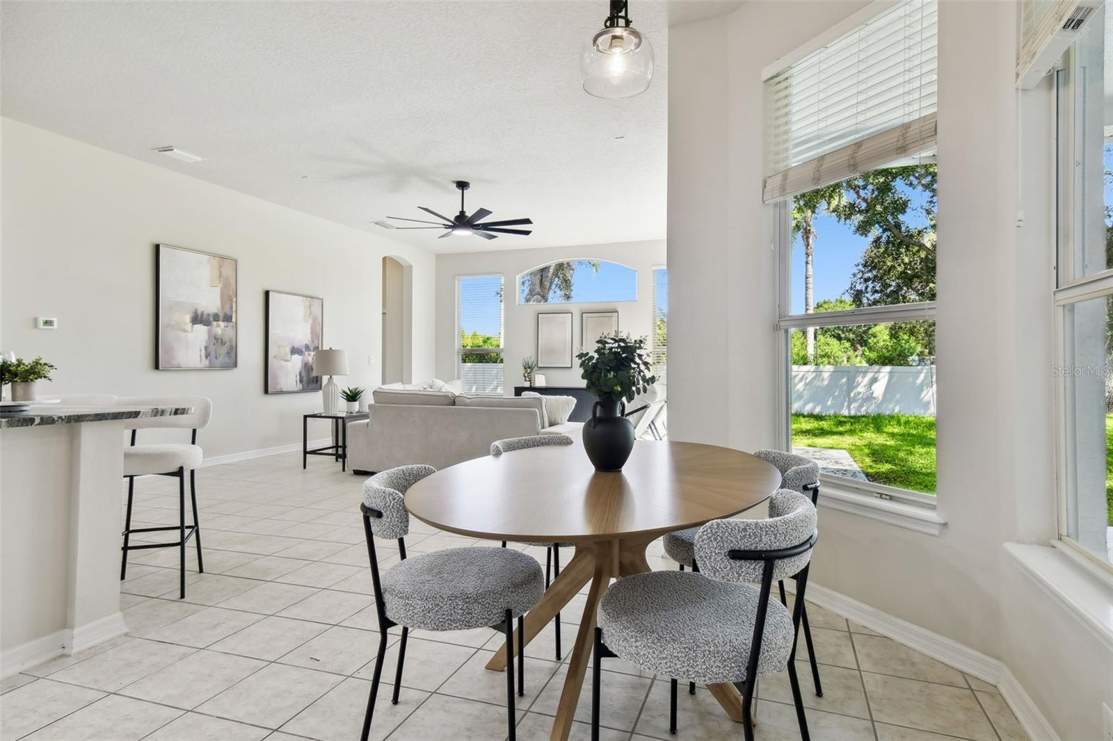 10244 SHADOW BRANCH DR, TAMPA, FL, 33647
