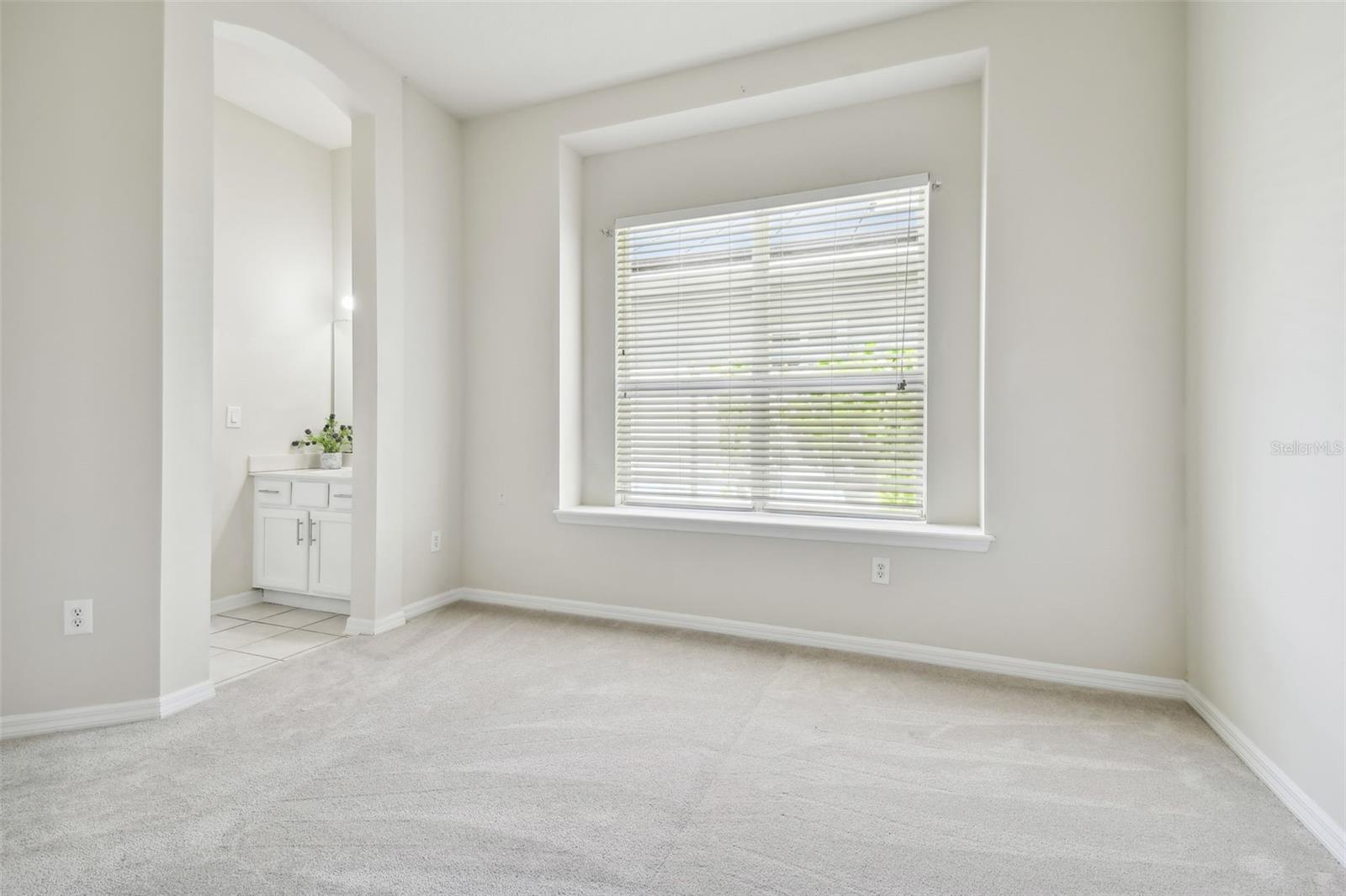 10244 SHADOW BRANCH DR, TAMPA, FL, 33647