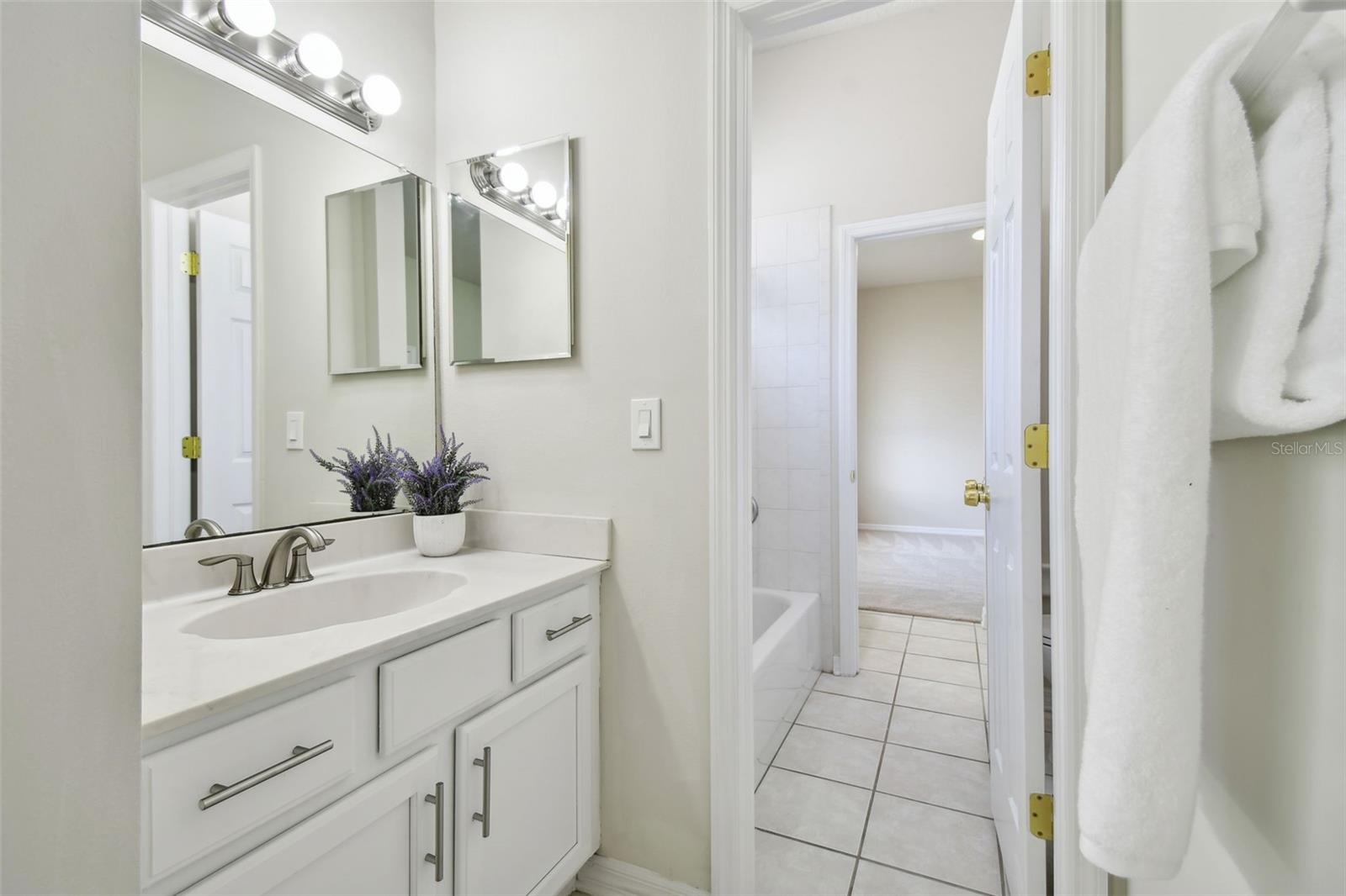 10244 SHADOW BRANCH DR, TAMPA, FL, 33647