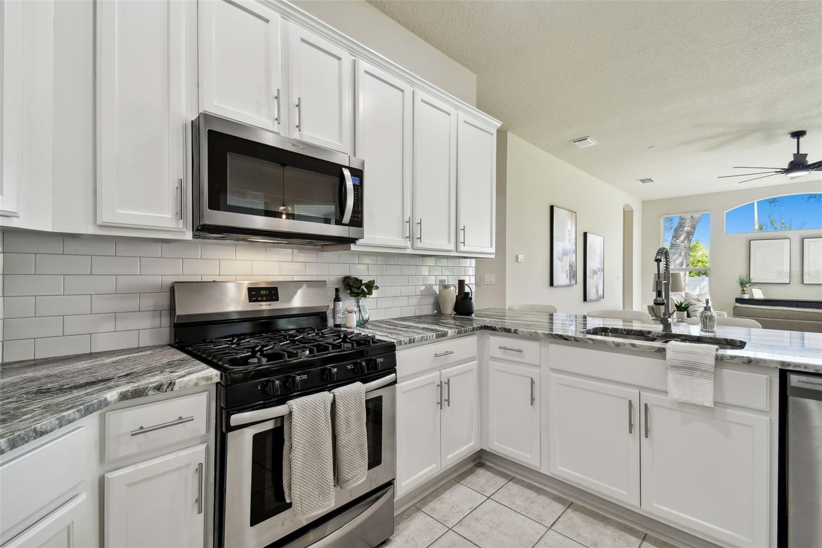 10244 SHADOW BRANCH DR, TAMPA, FL, 33647