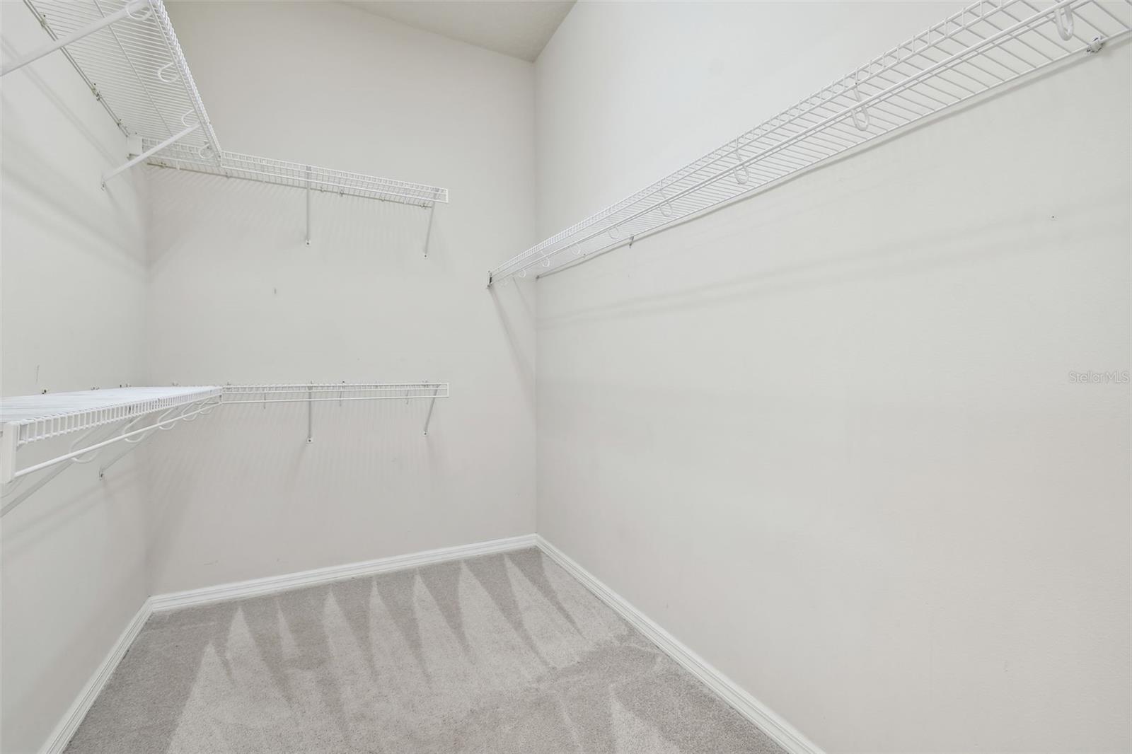 10244 SHADOW BRANCH DR, TAMPA, FL, 33647