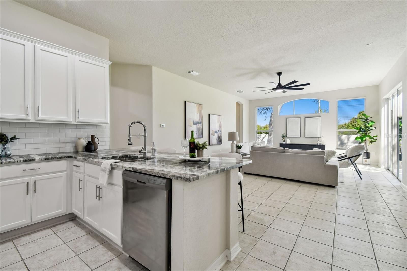 10244 SHADOW BRANCH DR, TAMPA, FL, 33647