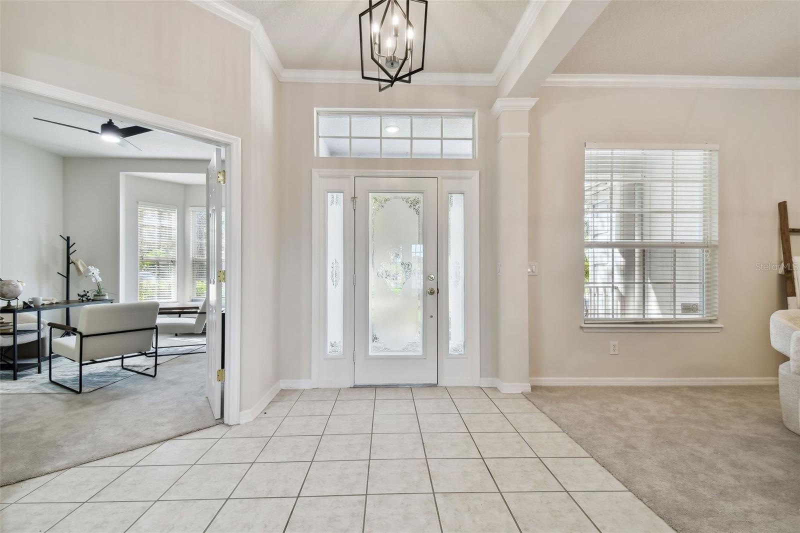 10244 SHADOW BRANCH DR, TAMPA, FL, 33647