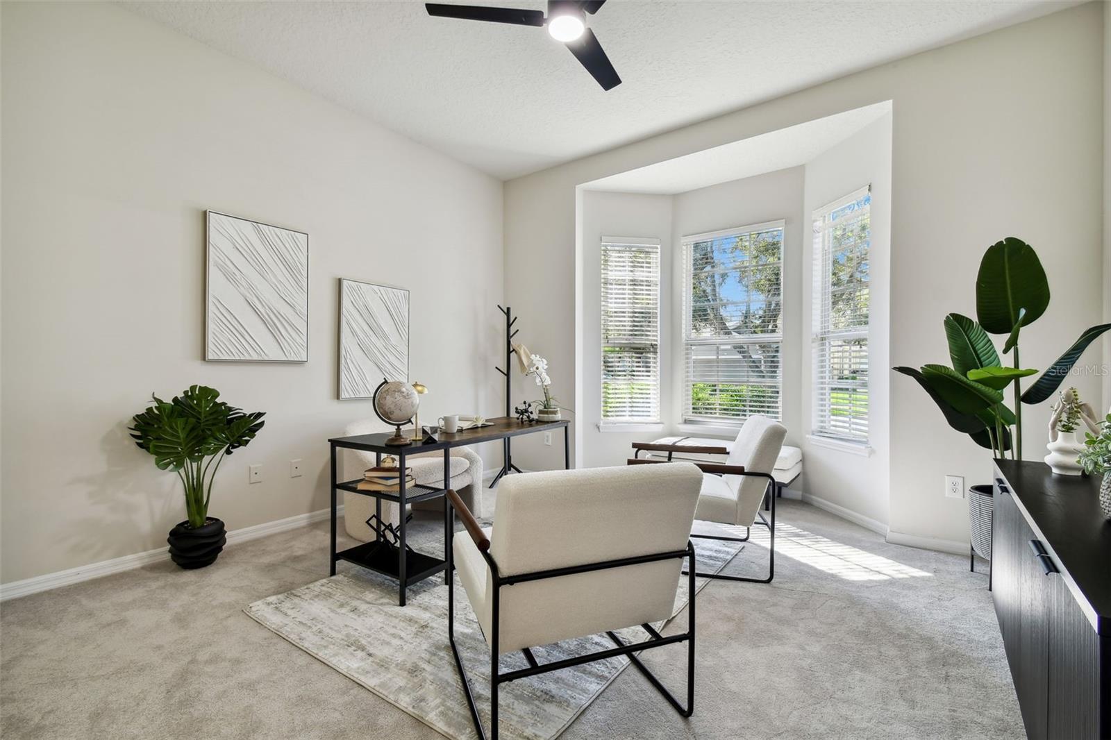 10244 SHADOW BRANCH DR, TAMPA, FL, 33647