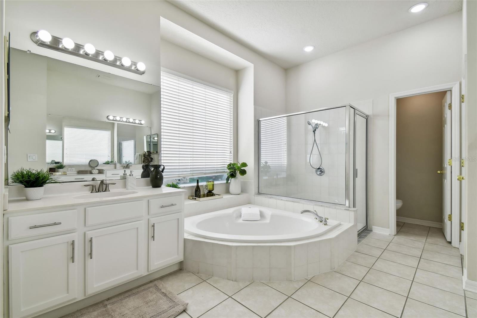 10244 SHADOW BRANCH DR, TAMPA, FL, 33647