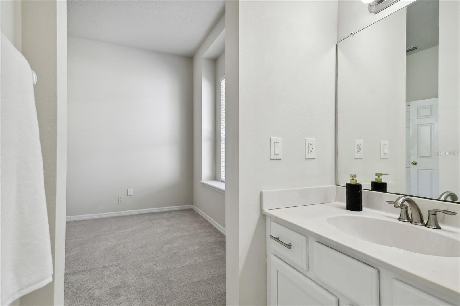 10244 SHADOW BRANCH DR, TAMPA, FL, 33647