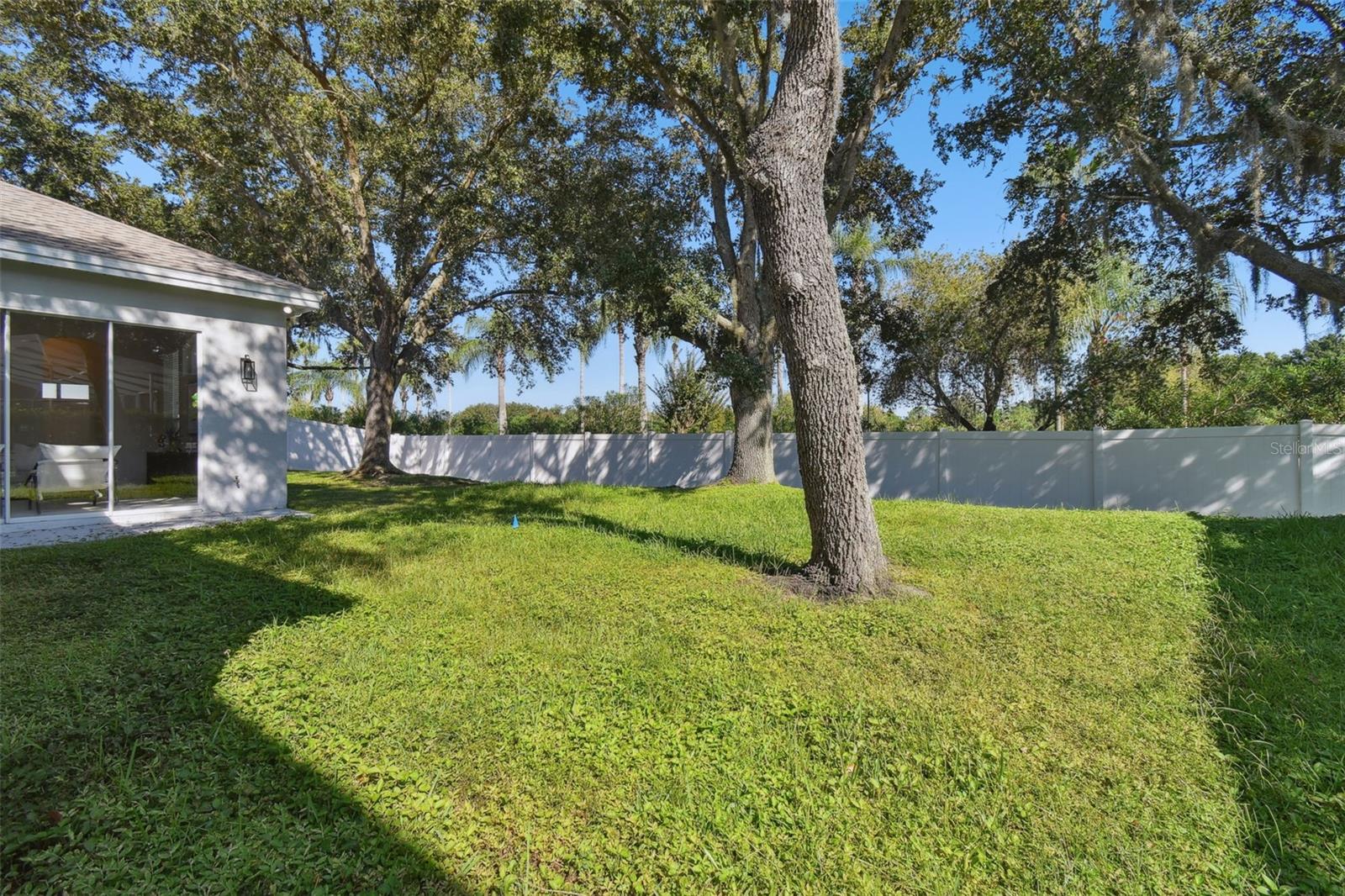 10244 SHADOW BRANCH DR, TAMPA, FL, 33647