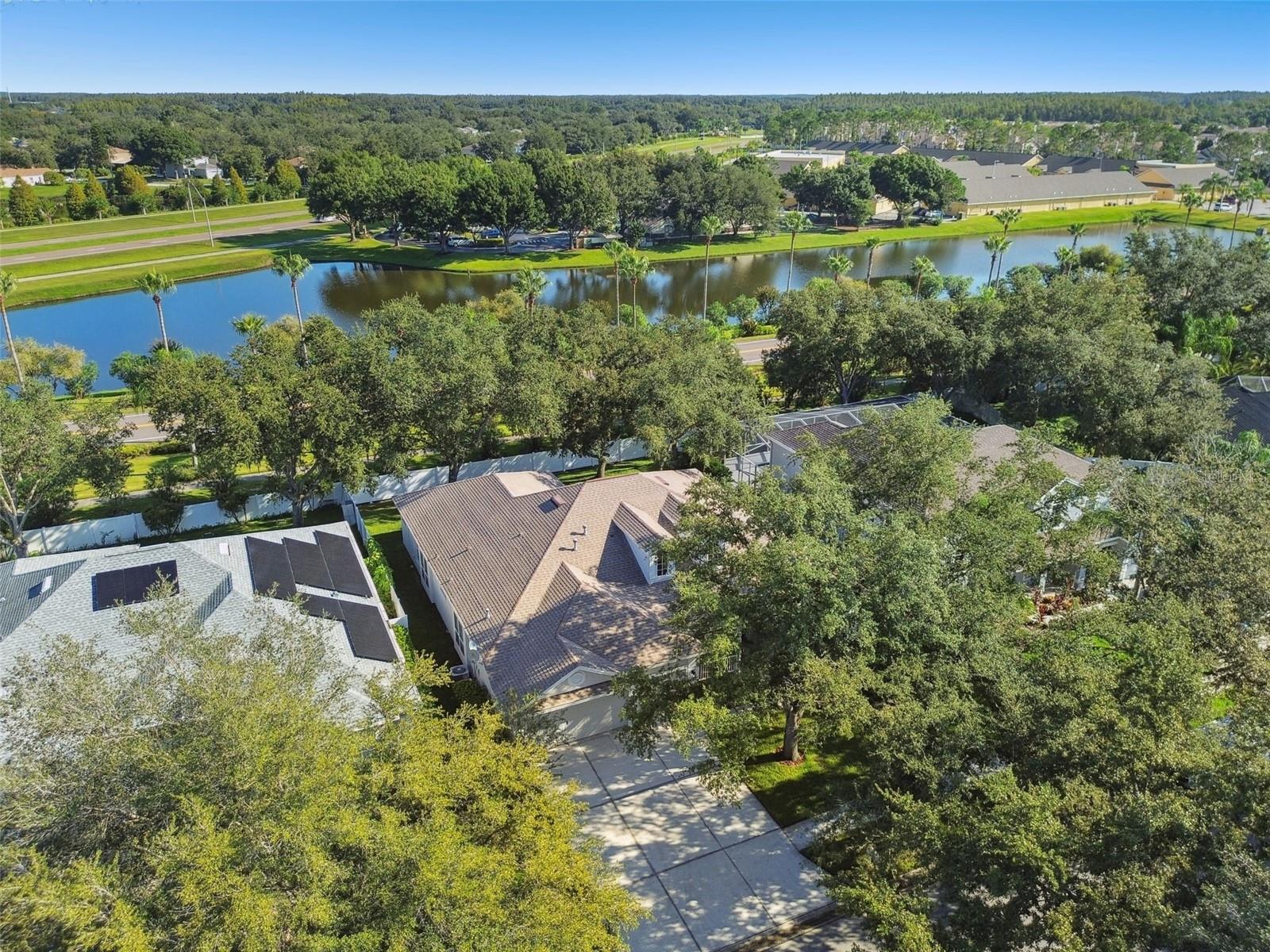 10244 SHADOW BRANCH DR, TAMPA, FL, 33647