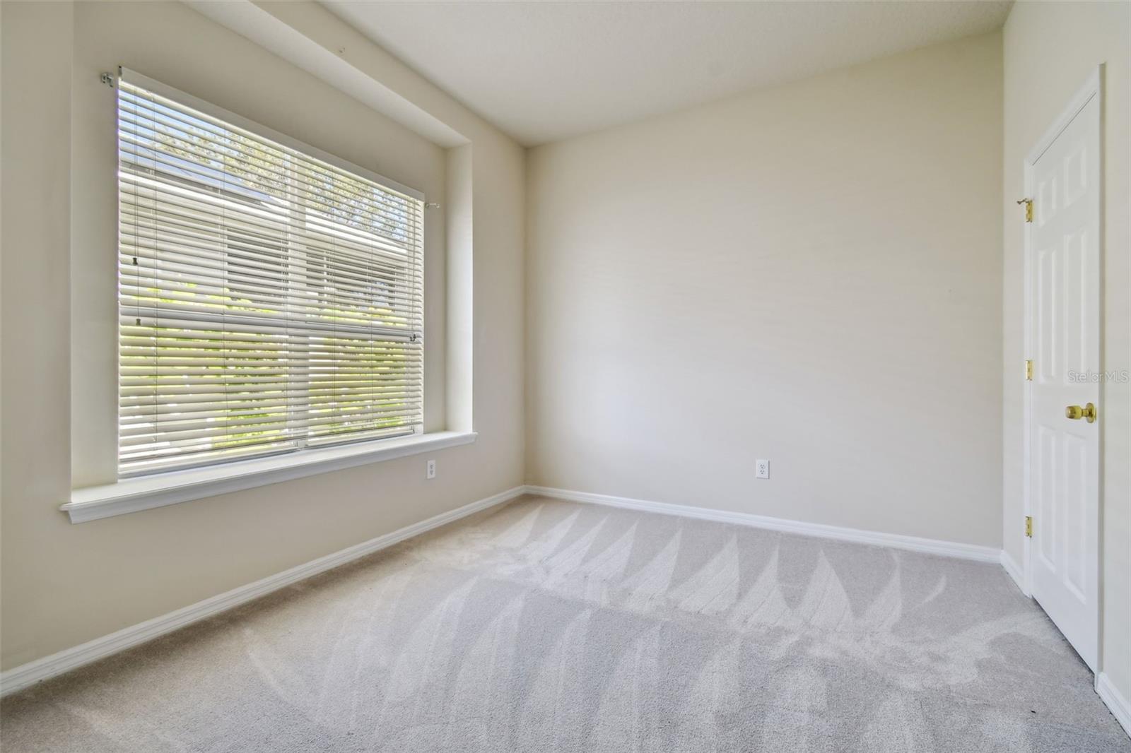 10244 SHADOW BRANCH DR, TAMPA, FL, 33647