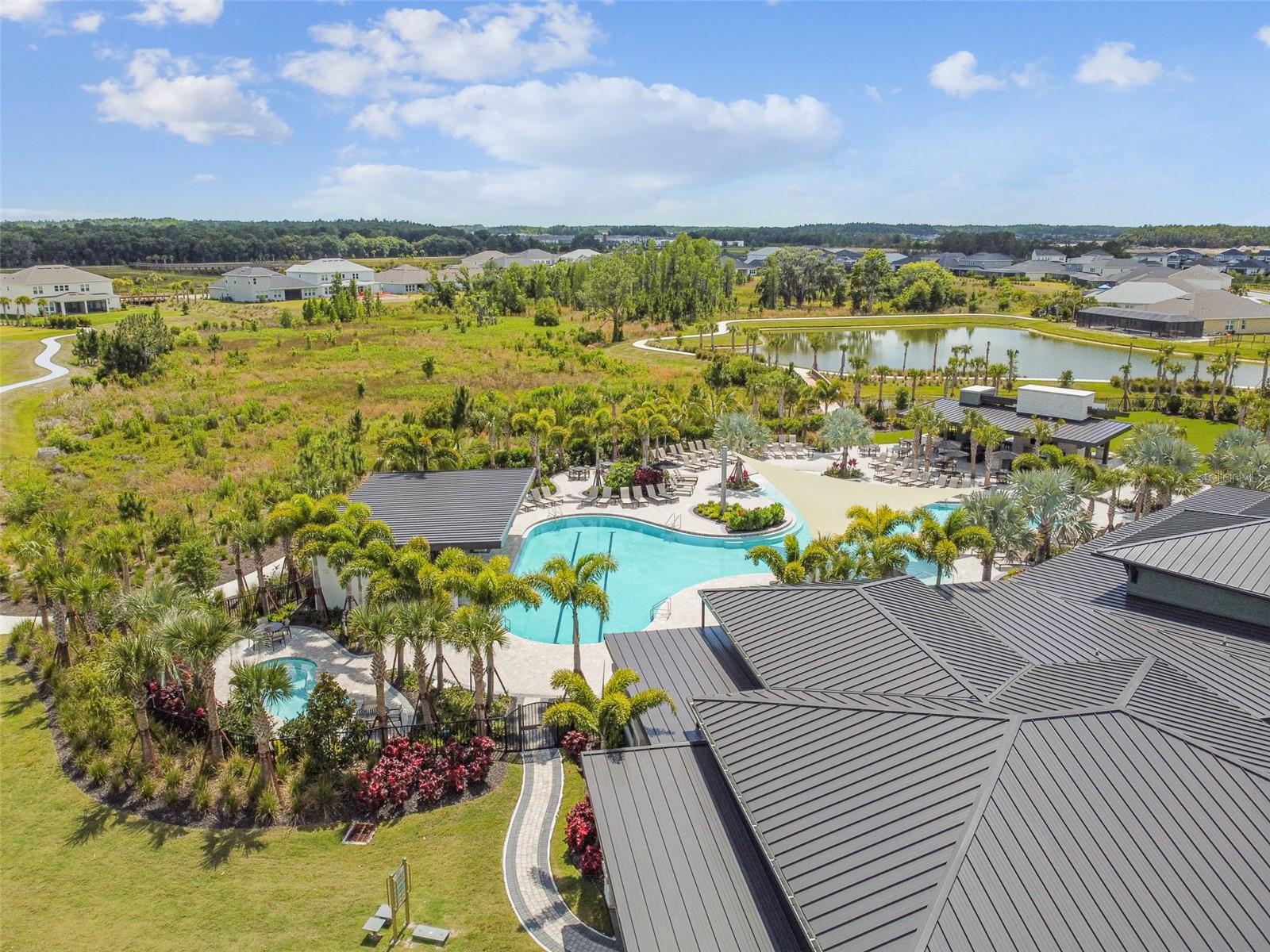 10244 SHADOW BRANCH DR, TAMPA, FL, 33647