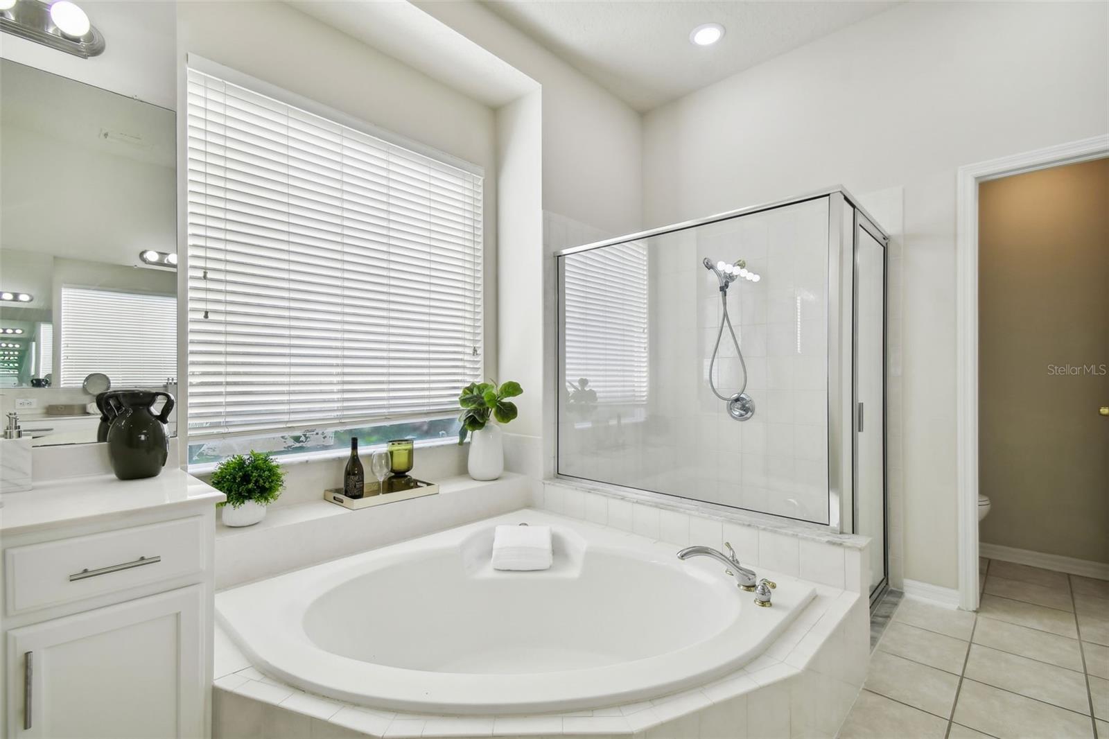 10244 SHADOW BRANCH DR, TAMPA, FL, 33647