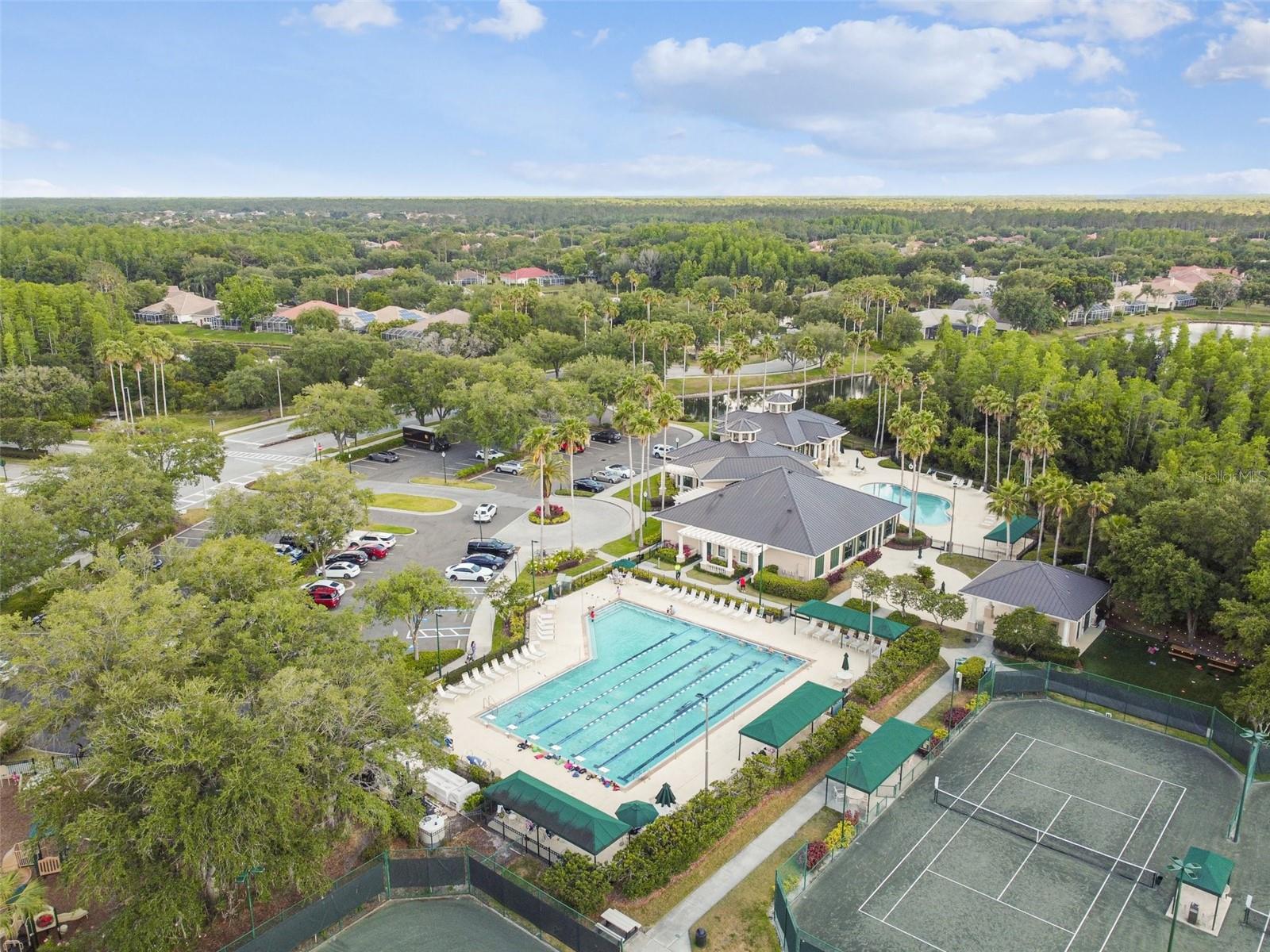 10244 SHADOW BRANCH DR, TAMPA, FL, 33647