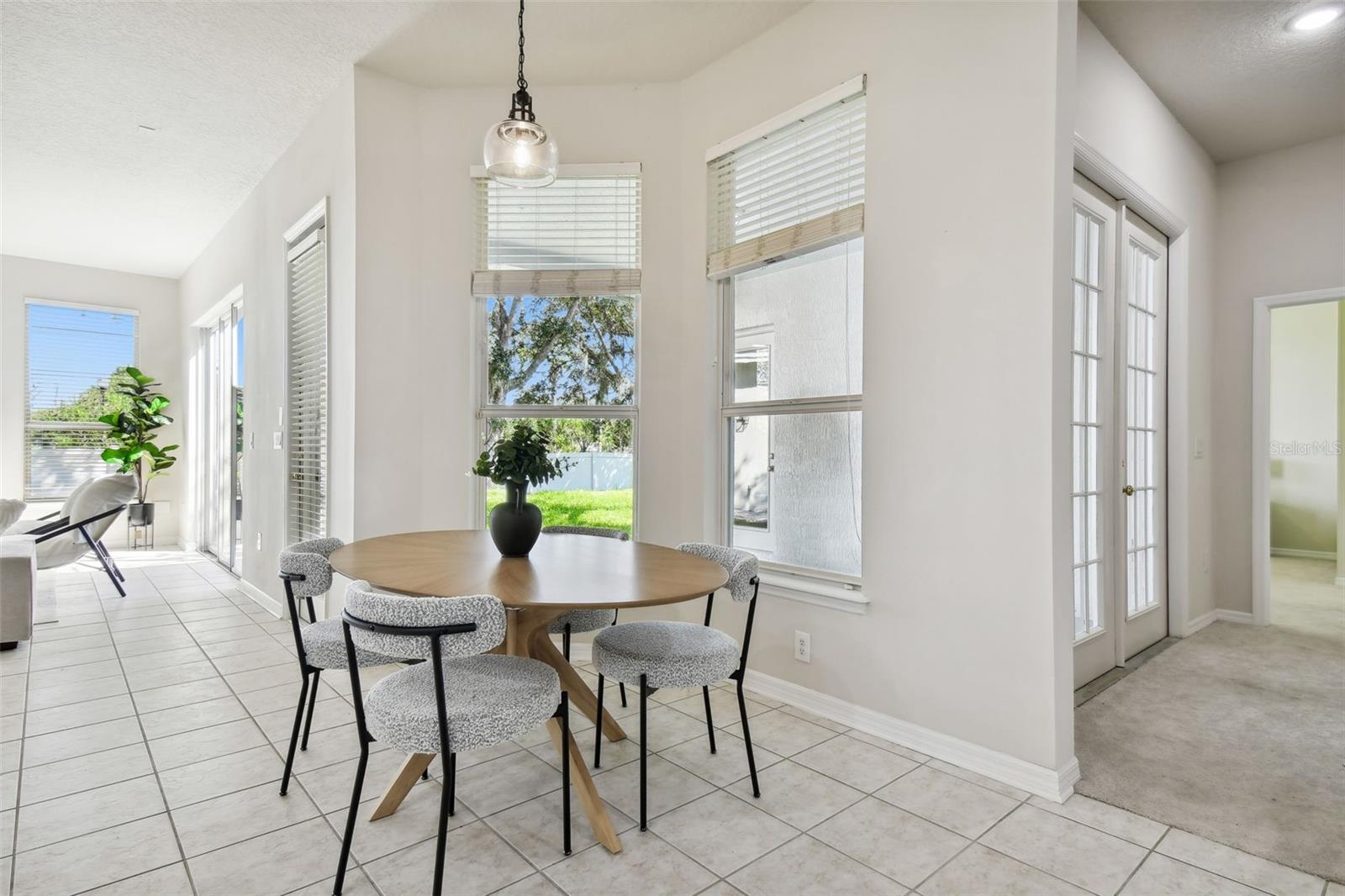 10244 SHADOW BRANCH DR, TAMPA, FL, 33647