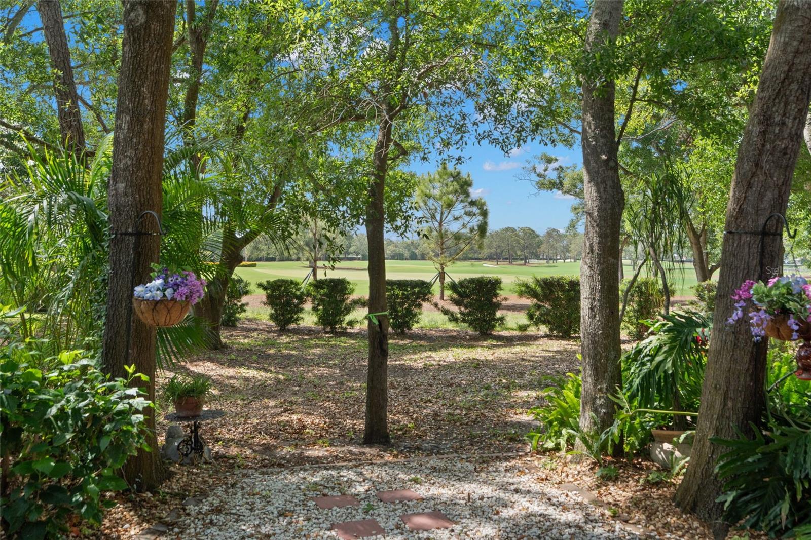 Pelican golf course