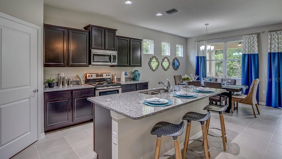 3116 CANOPY OAK BLVD, WILDWOOD, FL, 34785