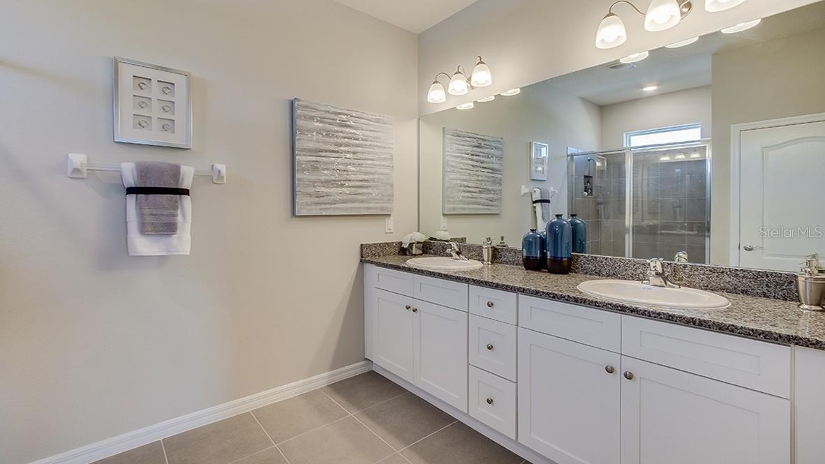 3112 CANOPY OAK BLVD, WILDWOOD, FL, 34785