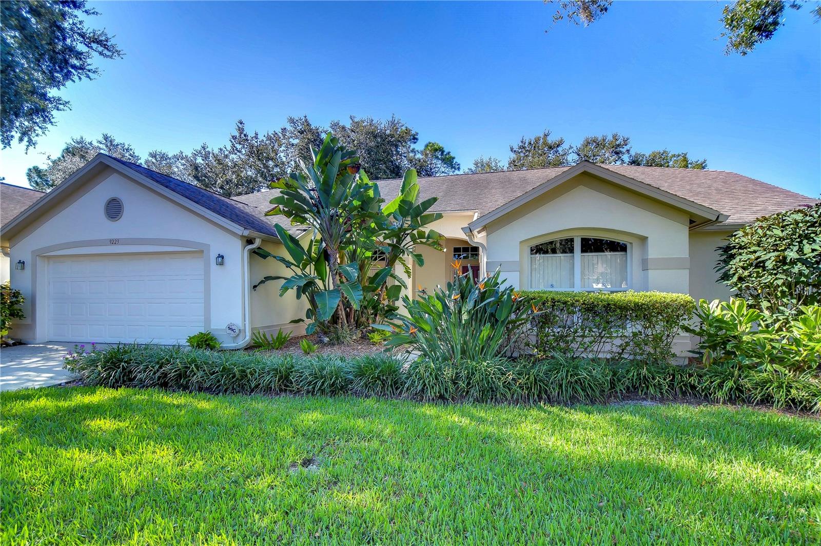 9223 ROCKROSE DR, TAMPA, FL, 33647
