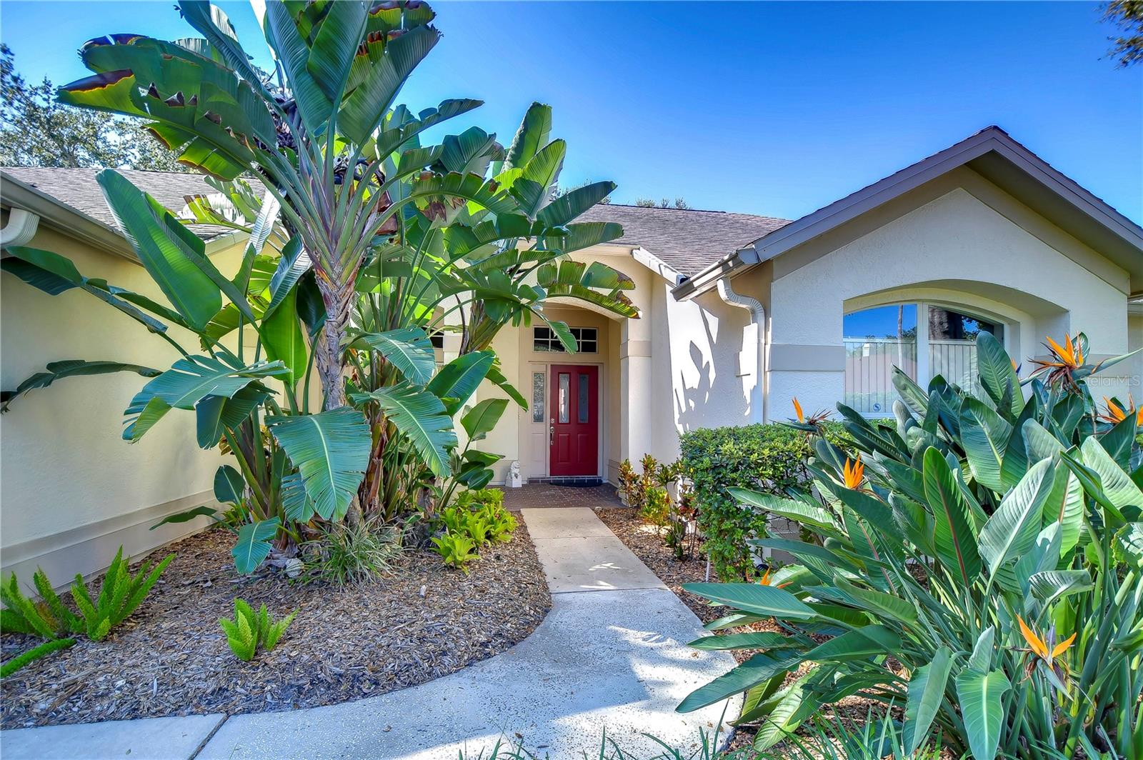 9223 ROCKROSE DR, TAMPA, FL, 33647