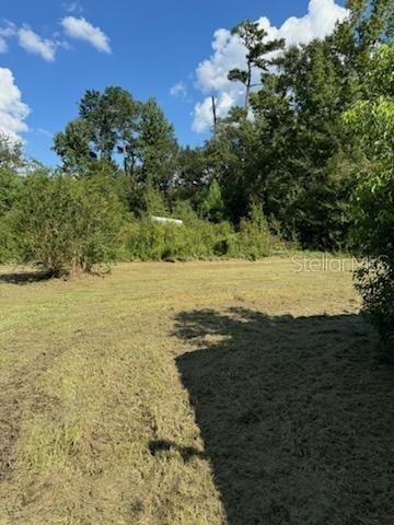 16203 SE PEAR ST, BLOUNTSTOWN, FL, 32424