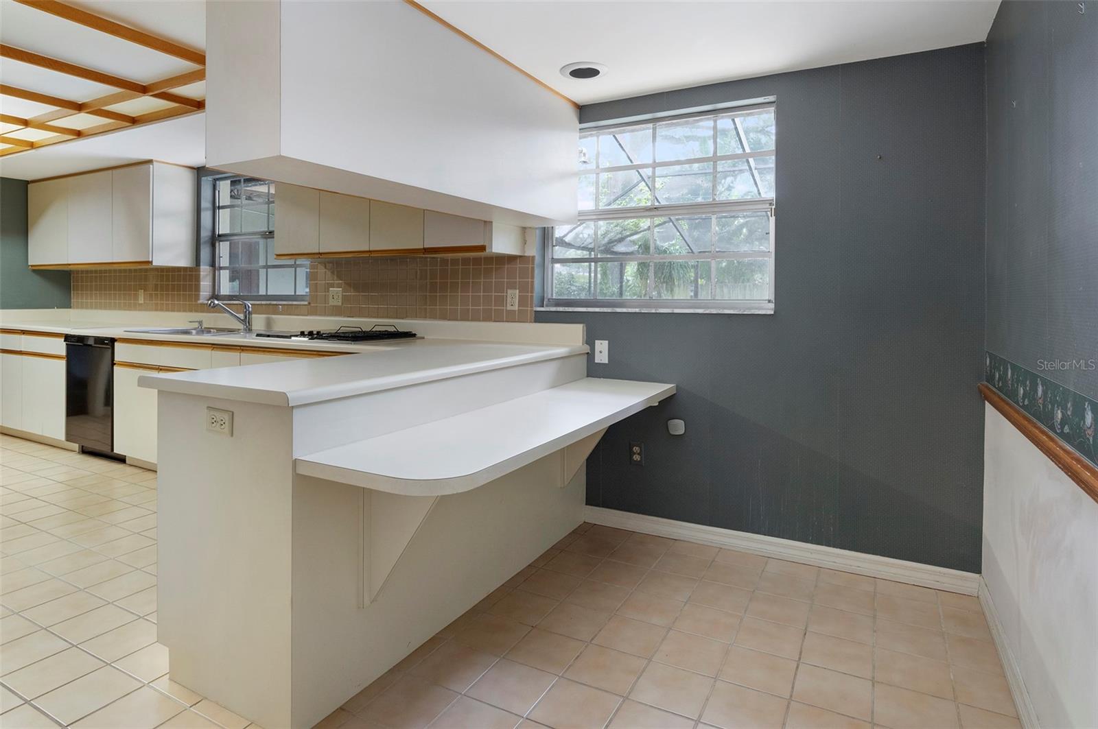 4504 W LAMB AVE, TAMPA, FL, 33629