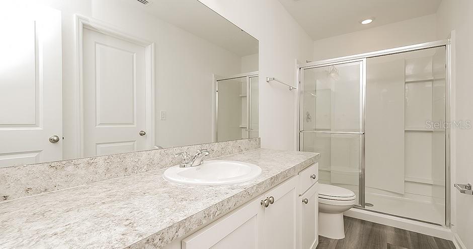 35467 WHITE WATER LILLY WAY #Larissa, ZEPHYRHILLS, FL, 33541
