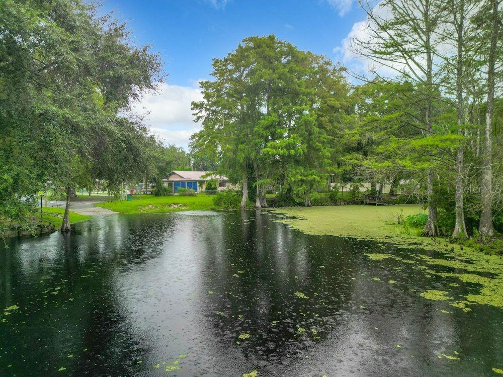 5135 S ALLIGATOR PL, FLORAL CITY, FL, 34436