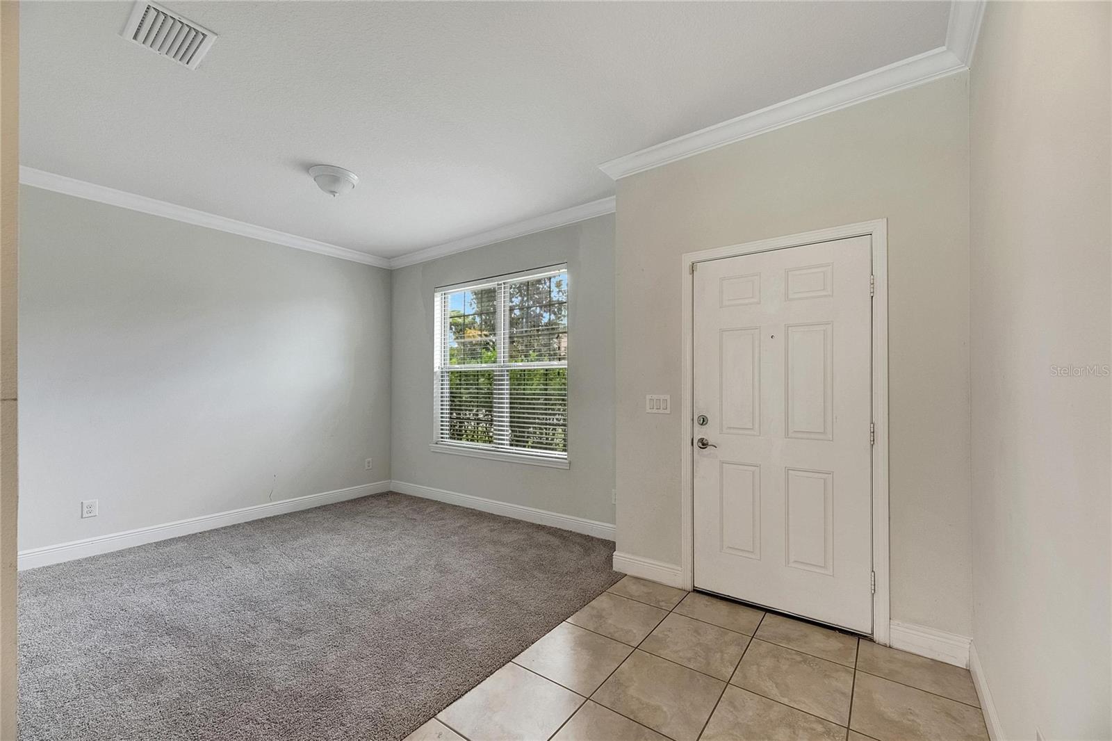 9118 MOUNTAIN MAGNOLIA DR, RIVERVIEW, FL, 33578