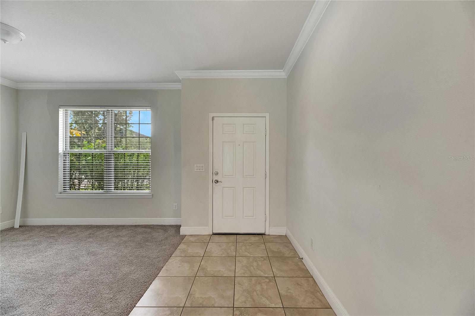 9118 MOUNTAIN MAGNOLIA DR, RIVERVIEW, FL, 33578