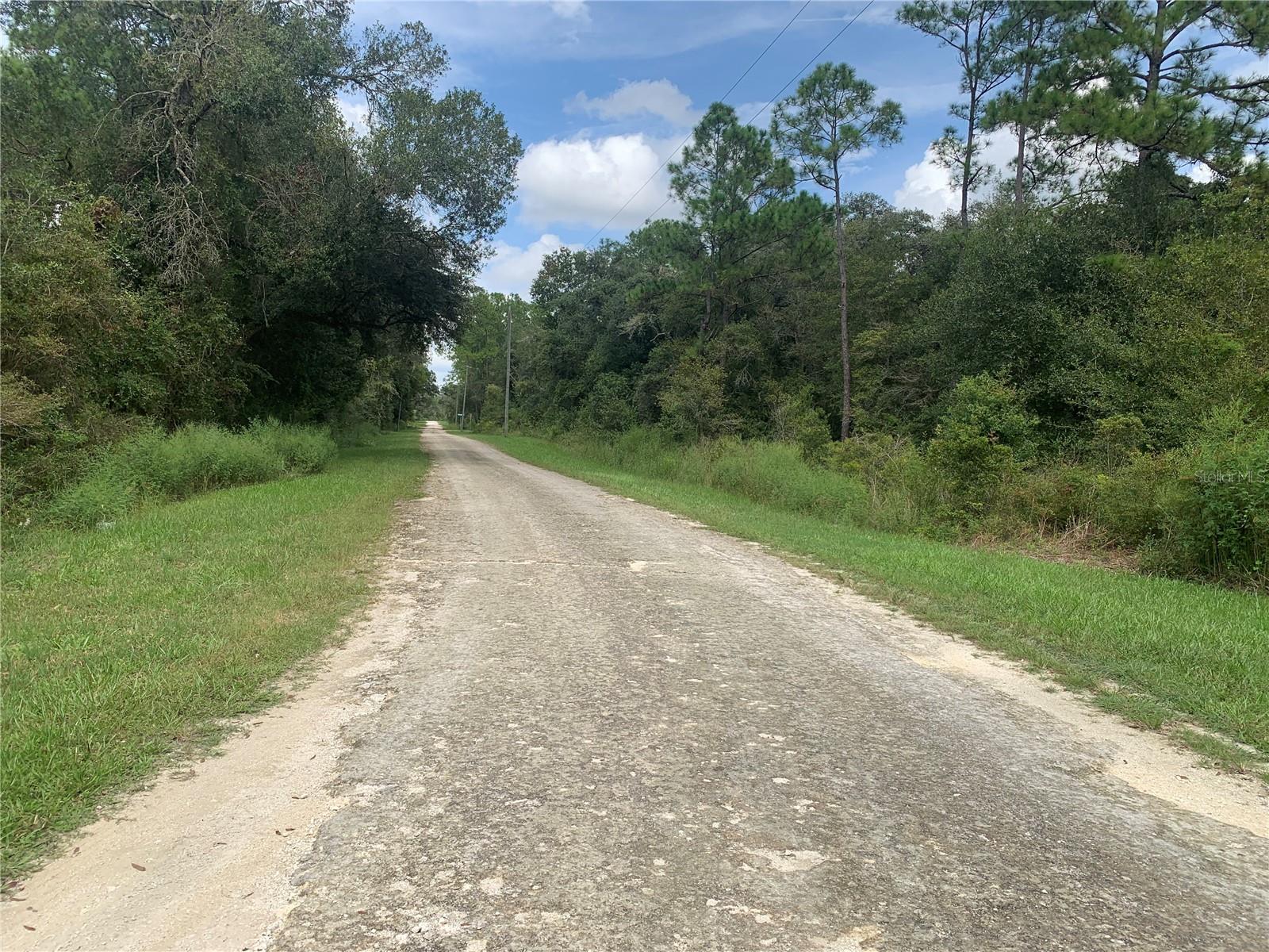 CHIPSTONE ST, WEBSTER, FL, 33597