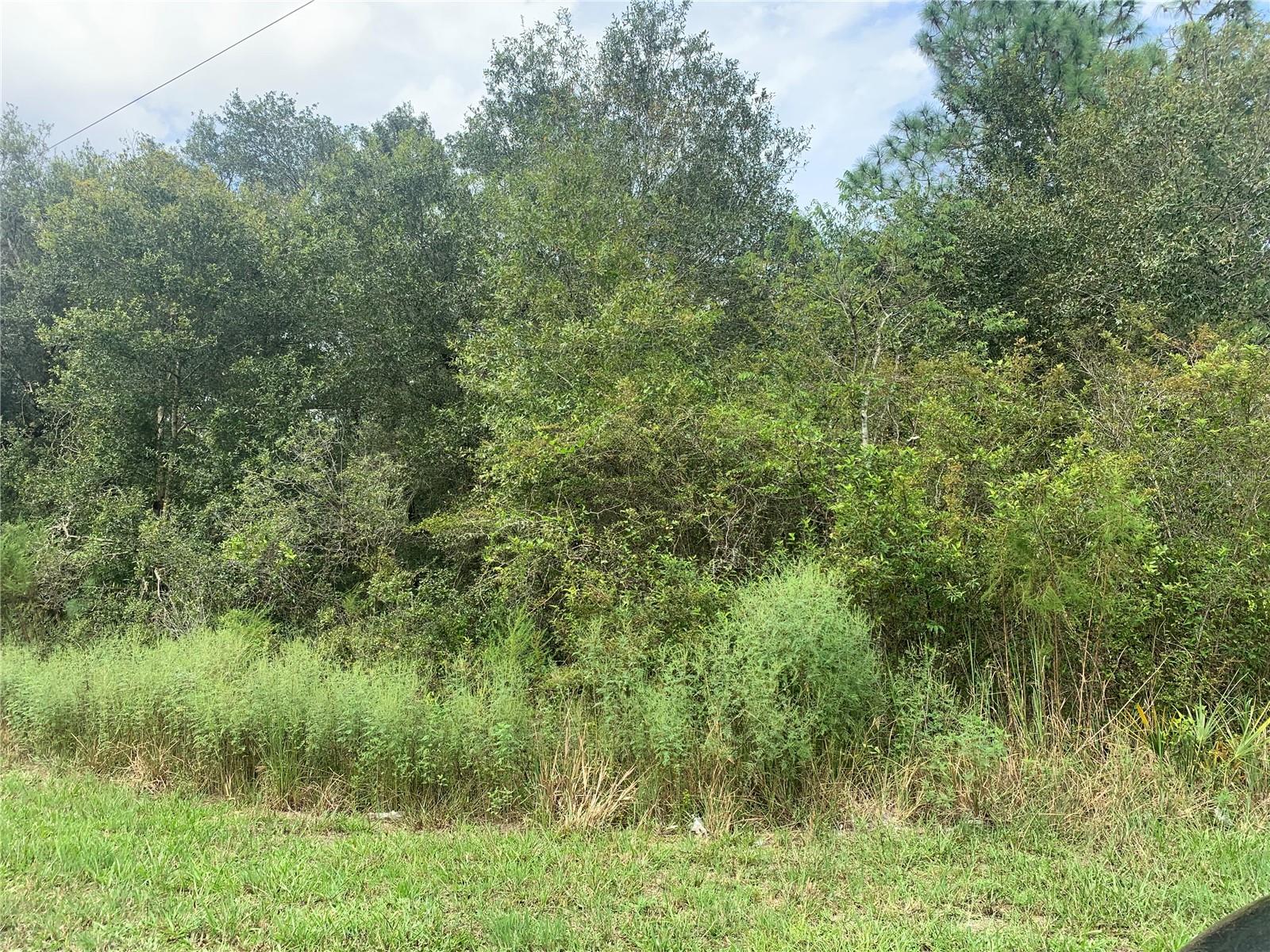 CHIPSTONE ST, WEBSTER, FL, 33597