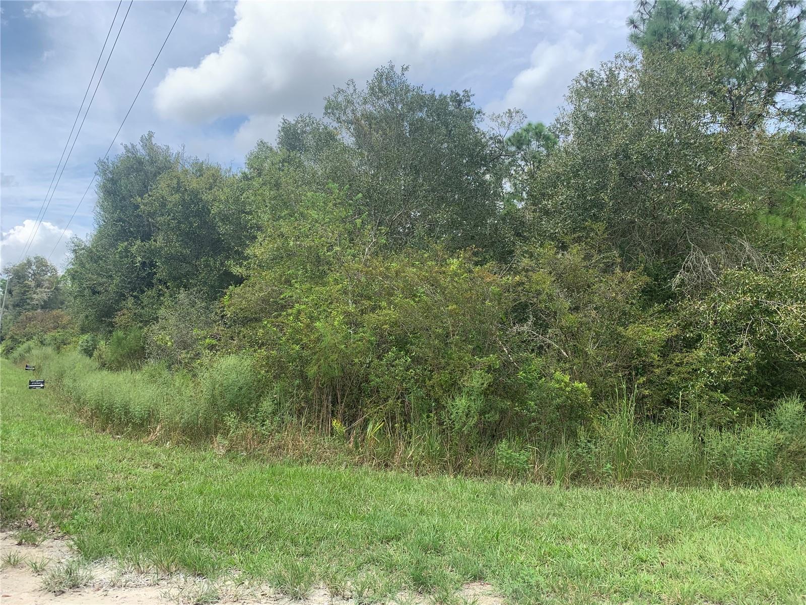 CHIPSTONE ST, WEBSTER, FL, 33597