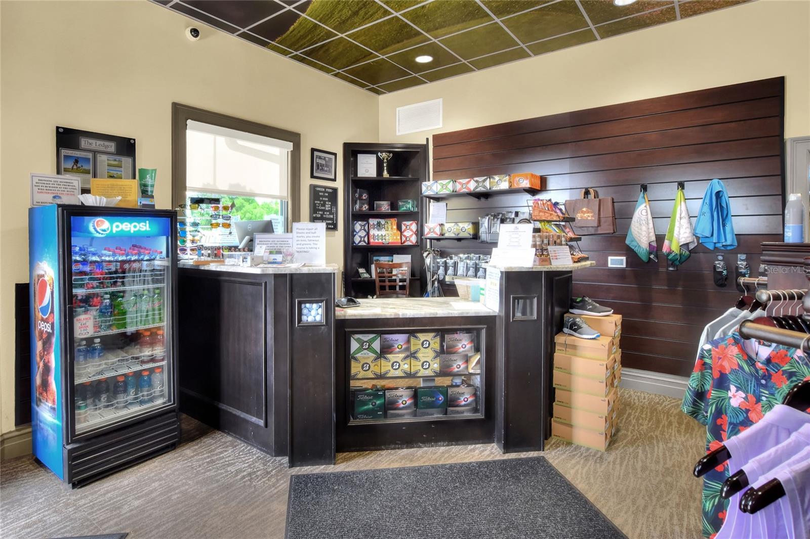 6205 RAVEN RUN, LAKELAND, FL, 33809