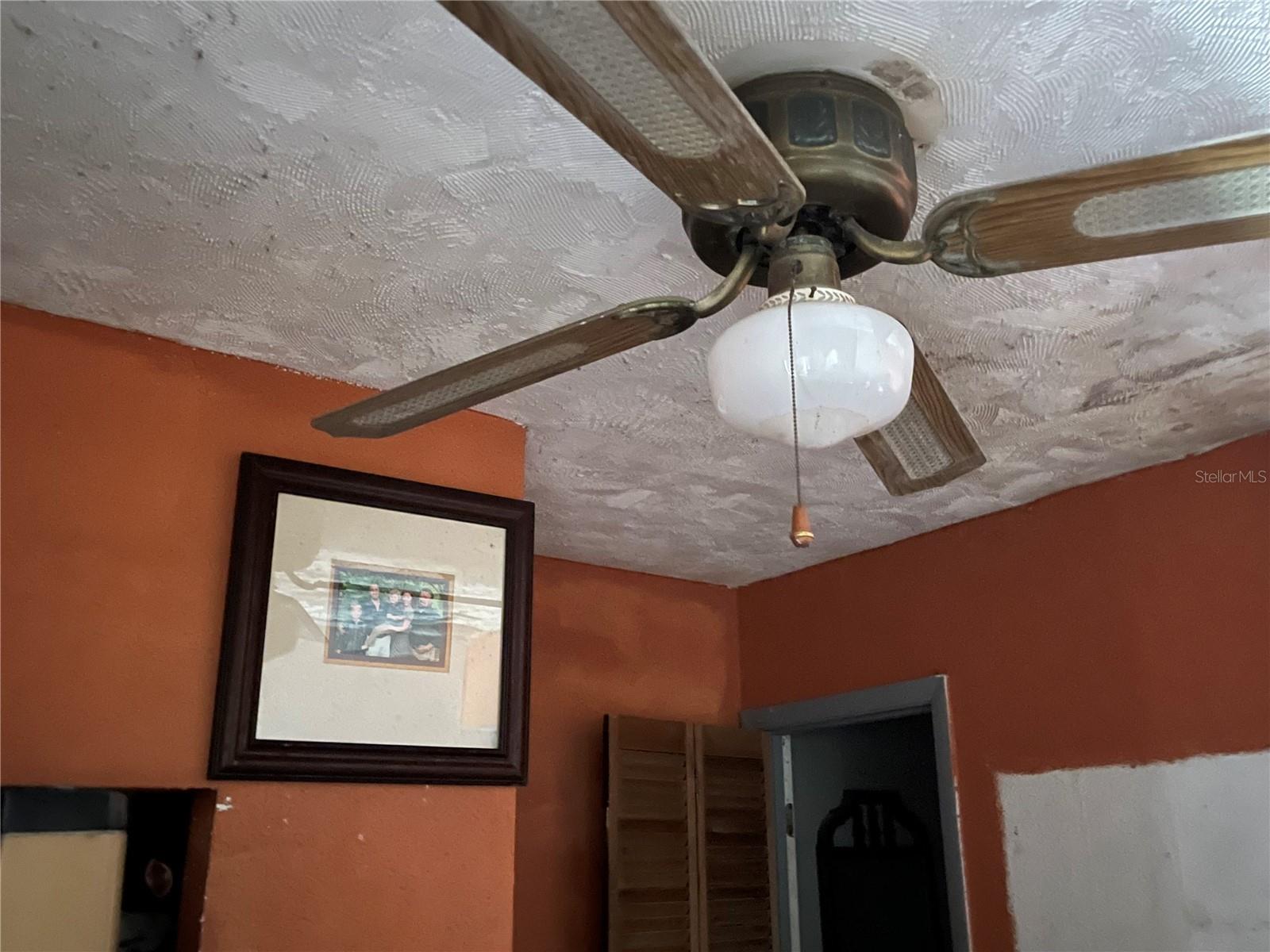 539 S VOLUSIA AVE, PIERSON, FL, 32180